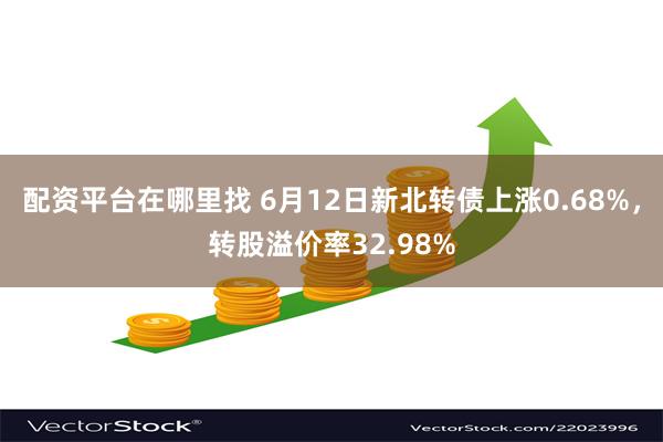 配资平台在哪里找 6月12日新北转债上涨0.68%，转股溢价率32.98%