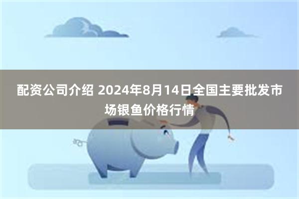 配资公司介绍 2024年8月14日全国主要批发市场银鱼价格行情