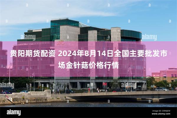 贵阳期货配资 2024年8月14日全国主要批发市场金针菇价格行情