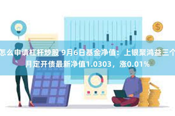 怎么申请杠杆炒股 9月6日基金净值：上银聚鸿益三个月定开债最新净值1.0303，涨0.01%