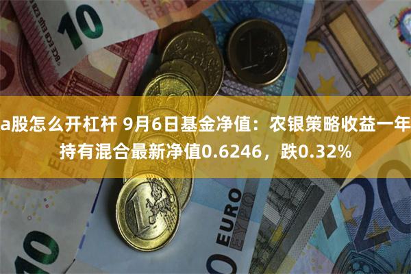 a股怎么开杠杆 9月6日基金净值：农银策略收益一年持有混合最新净值0.6246，跌0.32%