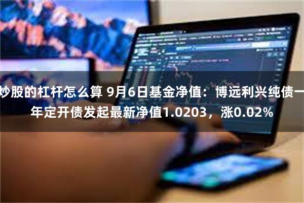 炒股的杠杆怎么算 9月6日基金净值：博远利兴纯债一年定开债发起最新净值1.0203，涨0.02%