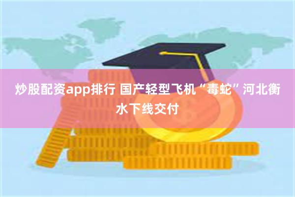 炒股配资app排行 国产轻型飞机“毒蛇”河北衡水下线交付