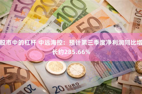 股市中的杠杆 中远海控：预计第三季度净利润同比增长约285.66%